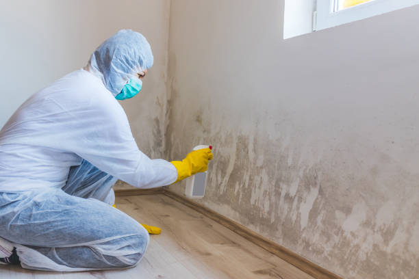 Licensed Mold Inspection service in Livingston, TX - WQB Mold Removal