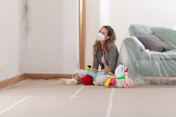 Reliable Mold Inspection contractor in Livingston, TX by WQB Mold Removal